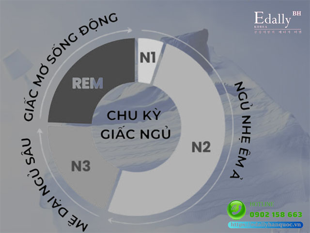 Sự thật của phương pháp ngủ ít mà không mệt