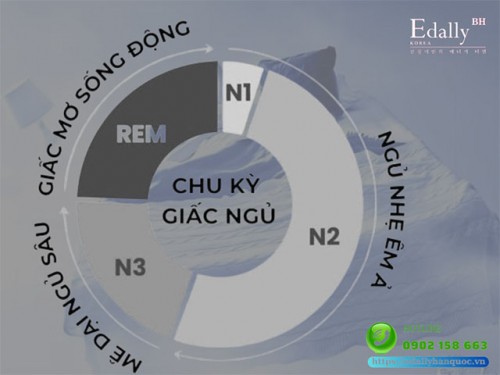 Sự Thật Của Phương Pháp Ngủ Ít Mà Không Mệt