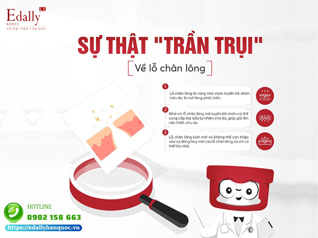 Sự thật trần trui về lỗ chân lông