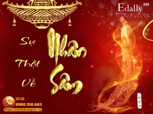 Sự Thật Bất Ngờ Về Nhân Sâm Mà Nhiều Người Vẫn Hiểu Lầm