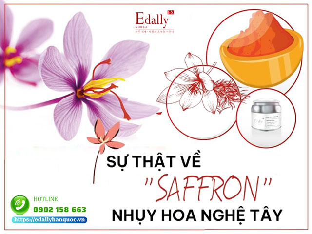 Sự thật về Saffaron - Nhụy hoa nghệ tây có thật sự thần thánh như lời đồn?