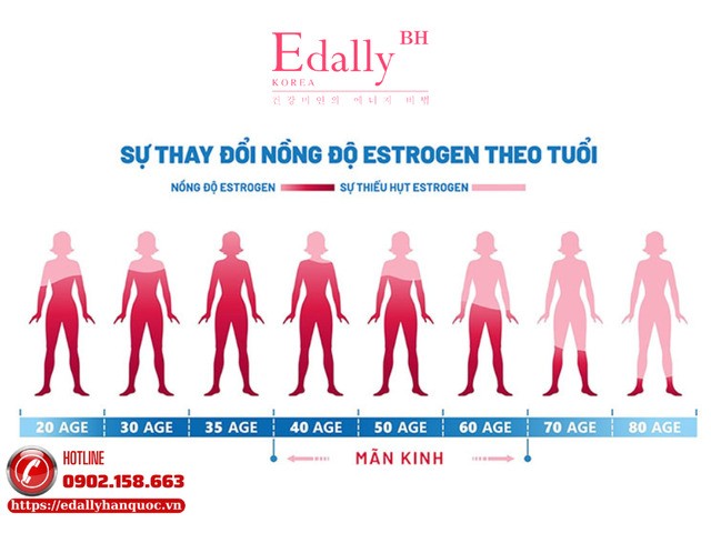 Sự thay đổi nồng độ estrogen ở phụ nữ thời kỳ mãn kinh