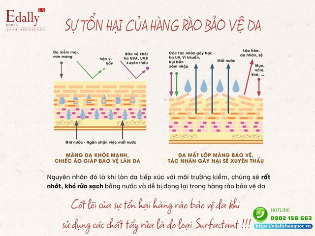 Sự tổn hại của hàng rao bảo vệ da khi sử dụng các sản phẩm chứa chất tẩy rửa làm sạch