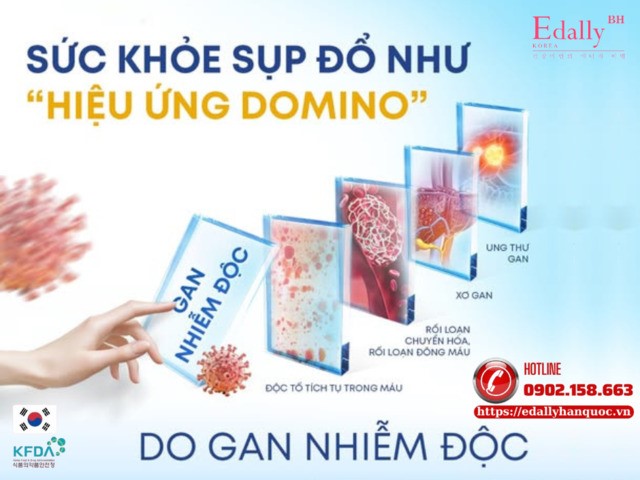 Đừng để sức khỏe sụp đổ như hiệu ứng domino do gan nhiễm độc