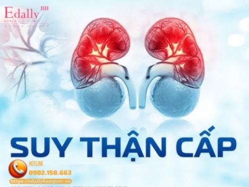 Suy Thận Cấp (Tổn Thương Thận Cấp): Nguyên Nhân, Triệu Chứng, Cách Điều Trị Và Phòng Ngừa