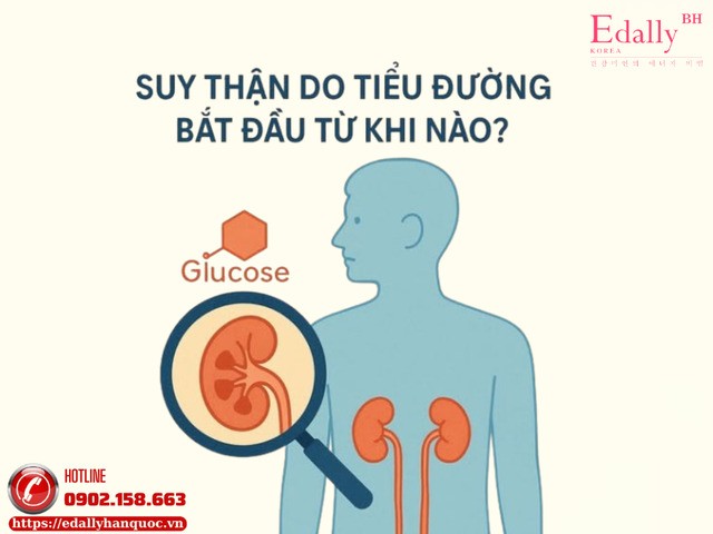 Suy thận do đường huyết cao ở người bệnh tiểu đường bắt đầu từ khi nào?
