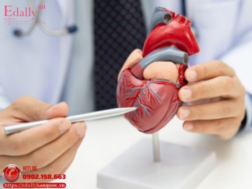 Bị Suy Tim Có Nên Hạn Chế Uống Nước Không?