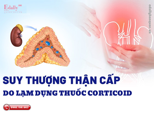 Suy tuyến thượng thận cấp do lạm dụng thuốc corticoid là trường hợp cấp cứu khẩn cấp