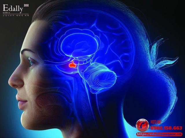 Suy tuyến yên - Kẻ ẩn mình nguy hiểm và cách điều trị hiệu quả