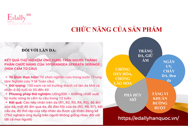 Tác dụng chống nắng nội sinh của chiết xuất cẩm tú cầu trong Viên uống trắng da chống nắng nội sinh Edally BH Hàn Quốc