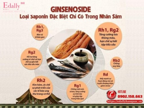 Vì Sao Việc Công Khai Hàm Lượng Ginsenoside Trong Sản Phẩm Nhân Sâm Lại Rất Quan Trọng?