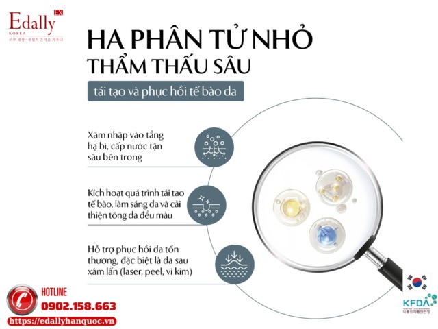 Tác dụng của HA phân tử nhỏ đối với làn da