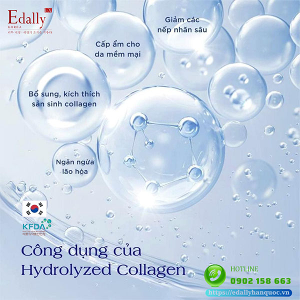 Tác dụng của Hydrolyzed Collagen đổi với làn da