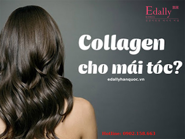 Tác dụng của collagen và mái tóc là gì?