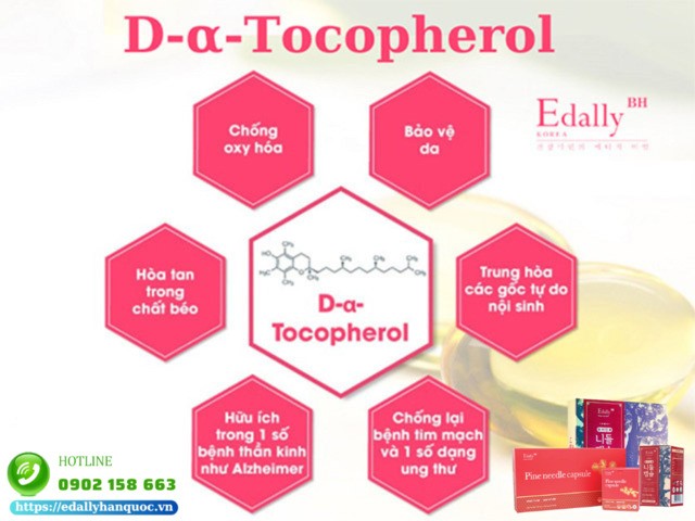 Viên tinh dầu Thông đỏ Edally Pine Needle Capsule Hàn Quốc nhập khẩu, chính hãng chứa 2% D-⍺-Tocopherol 