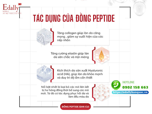 Tác dụng của Đồng Peptide đối với làn da