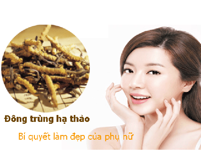 Tác dụng của Đông trùng hạ thảo đối với phụ nữ