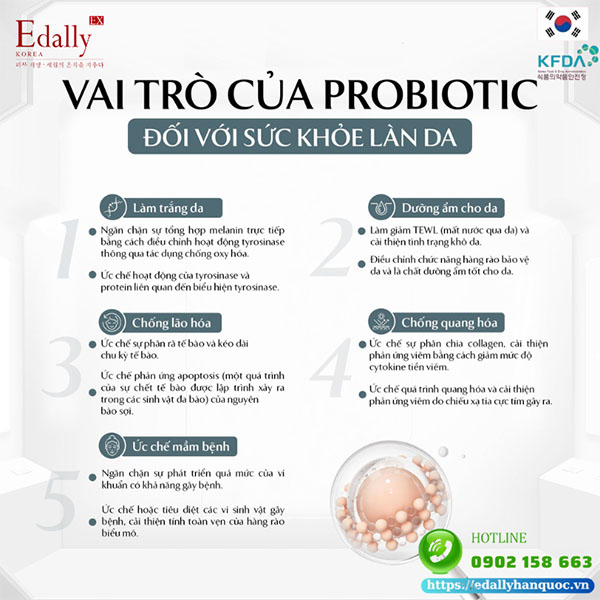 Vai trò của probiotics đối với sức khỏe làn da