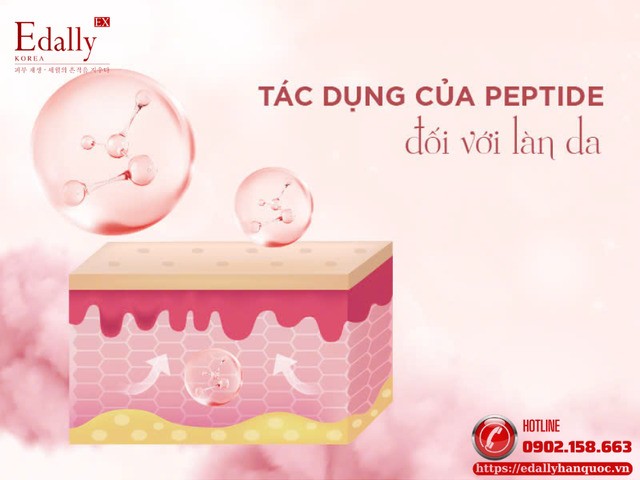 Peptide có tác dụng gì đối với làn da?