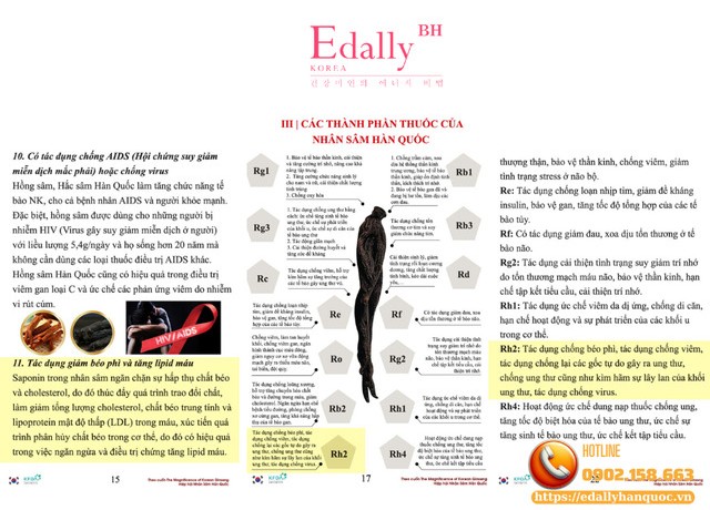 Tác dụng giảm béo phì và chứng tăng lipid máu của Nhân sâm Hàn Quốc Tác dụng giảm béo phì và chứng tăng lipid máu của Nhân sâm Hàn Quốc