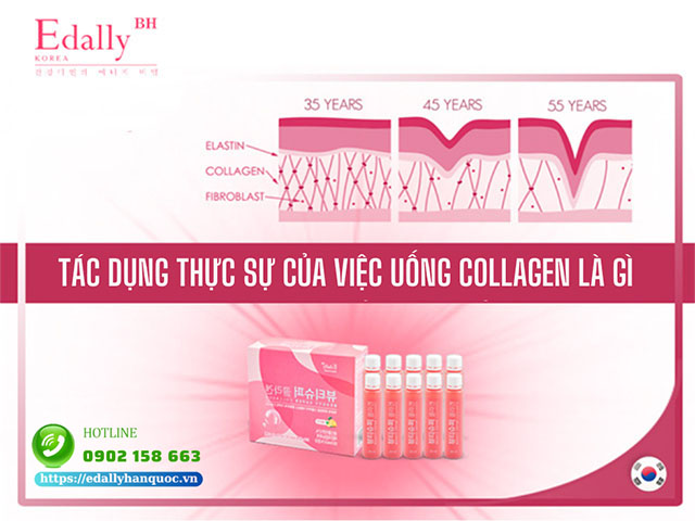 Tác dụng thực sự của việc uống Collagen là gì?