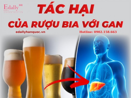 Rượu Bia Gây Hại Cho Gan Như Thế Nào?