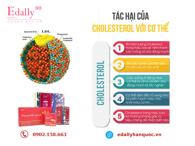 Tác hại của Cholesterol đối với cơ thể
