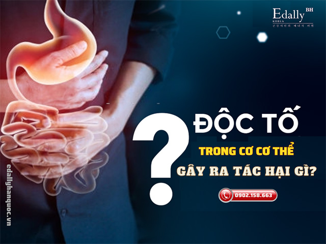 Tác hại của độc tố trong cơ thể con người như thế nào?