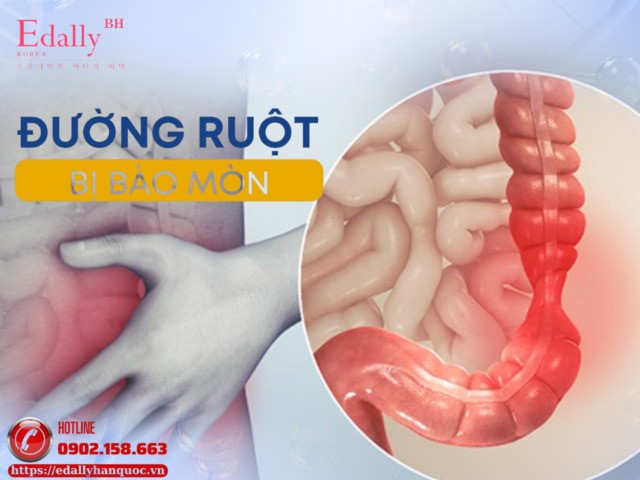 Giảm cân phản khoa học khiến đường ruột bị bào mòn
