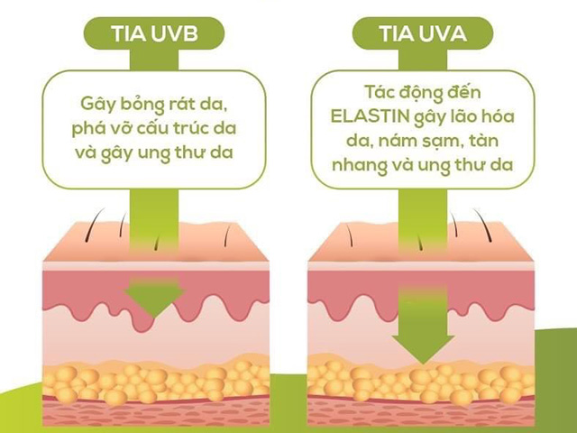 Cả tia UVA và tia UVB đều gây hại tới làn da