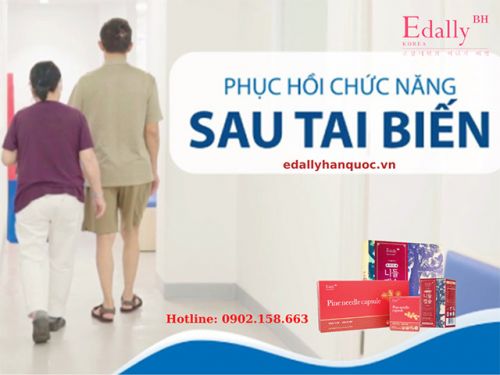 Tai Biến Mạch Máu Não Và Phục Hồi Chức Năng Sau Tai Biến