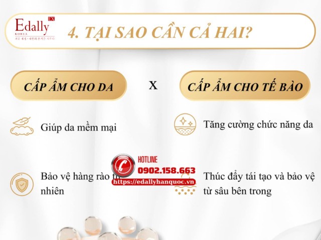 Tại sao cấp ẩm cho da rồi vẫn cần cấp ẩm cho tế bào?