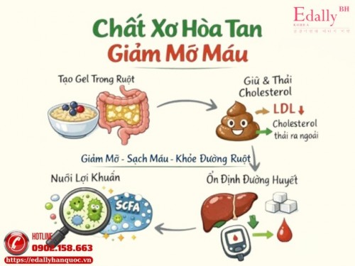 Tại Sao Chất Xơ Hòa Tan Giảm Mỡ Máu Ở Người Bệnh Tiểu Đường?