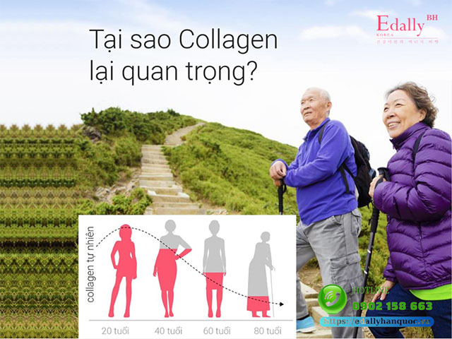 Tại sao Collagen lại quan trọng đối với cơ thể phụ nữ?