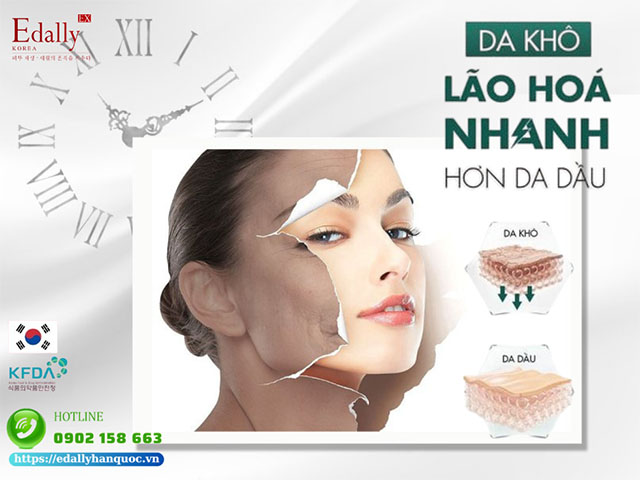 Tại sao da khô lại lão hóa nhanh hơn da dầu?