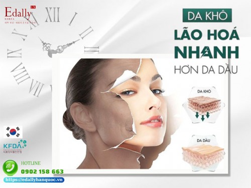 Tại Sao Da Khô Lão Hóa Nhanh Hơn Da Dầu?