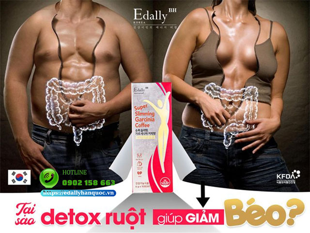 Tại sao detox đường ruột bằng Cà phê thải độc giảm cân Edally Super Slimming Garcinia Coffee lại giảm béo?