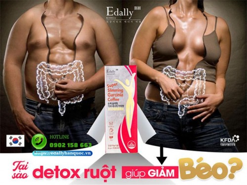 Tại Sao Detox Đường Ruột Giúp Giảm Béo?