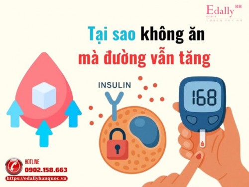 Tại Sao Không Ăn Mà Đường Huyết Vẫn Tăng?
