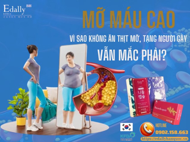 Tại sao không ăn thịt mỡ, tạng người gầy mà mỡ máu xấu vẫn tăng cao?