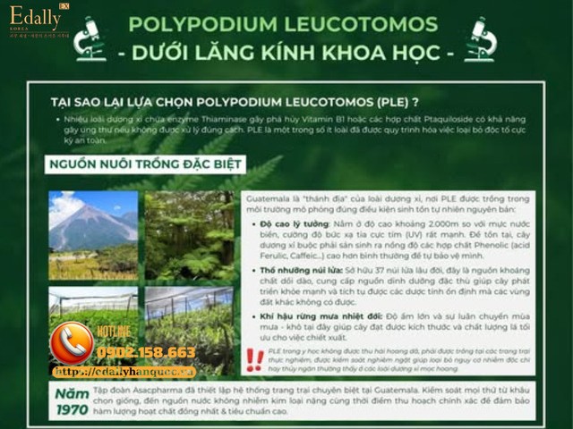 Tại sao lại lựa chọn Dương xỉ (Polypodium leucotomos)?