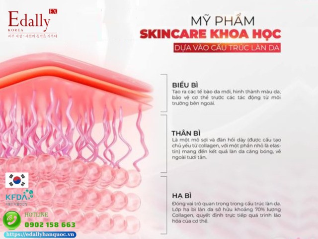 Tại sao mỹ phẩm skincare khoa học phải dựa vào cấu trúc làn da?