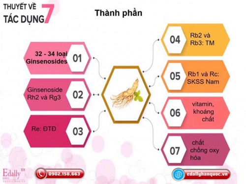 Vì Sao Nhân Sâm Hàn Quốc Lại Được Ưa Chuộng?