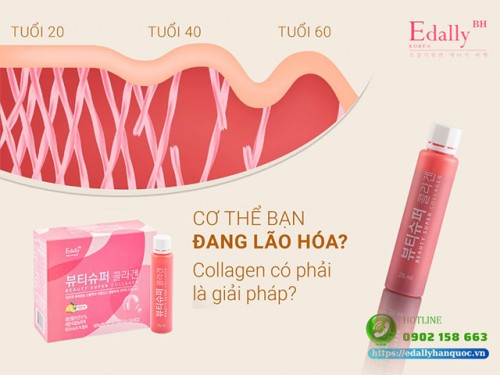 Tầm Quan Trọng Của Collagen Với Cơ Thể Và Làn Da