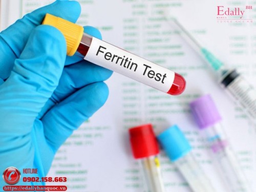 Tăng Ferritin Máu Là Gì, Có Nguy Hiểm Không?