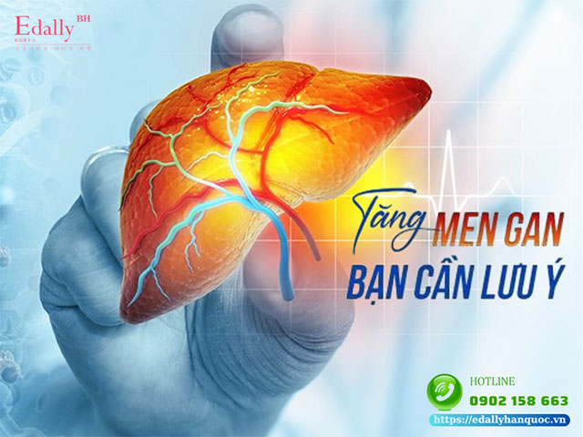 Tăng men gan - Mối nguy hiểm thầm lặng cần hết sức lưu ý