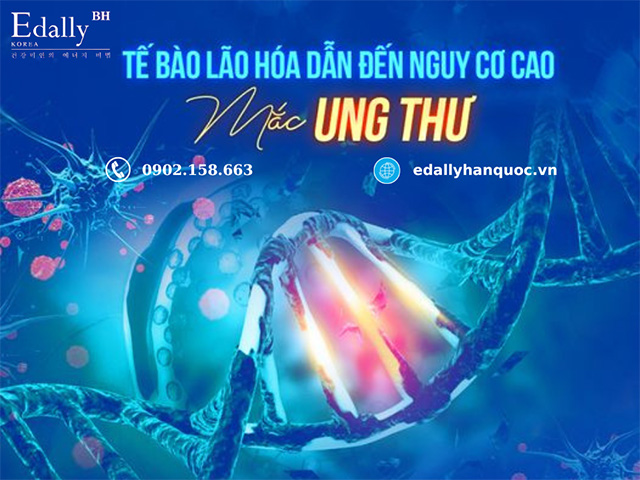 Tế bào bị lão hóa và hư hỏng dẫn đến nguy cơ cao mắc bệnh ung thư