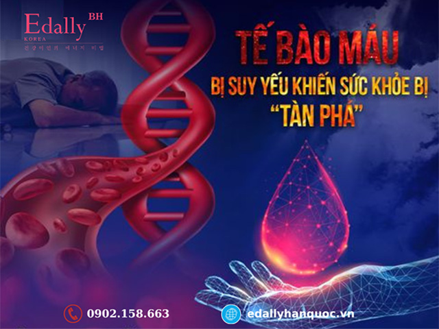 Tế Bào Máu Bị Suy Yếu Nguy Hiểm Thế Nào?