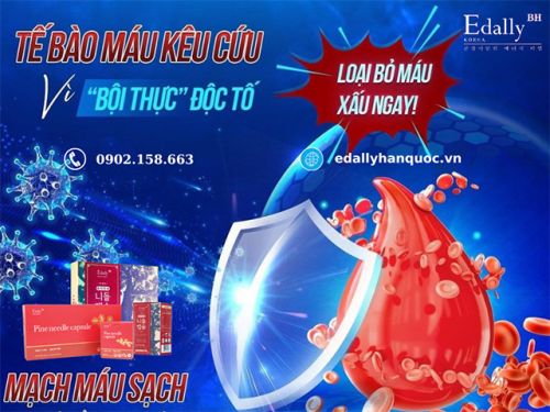 Tế Bào Máu Bị Nhiễm Độc Tố Có Nguy Hiểm Không?