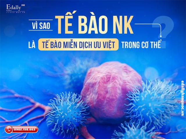 Vì sao tế bào tiêu diệt tự nhiên NK là tế bào miễn dịch ưu việt nhất bên trong cơ thể?